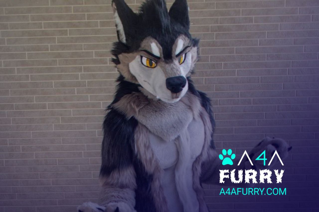 الفورسوت في مجتمع Furry : انواعها و سبب سعرها الباهض